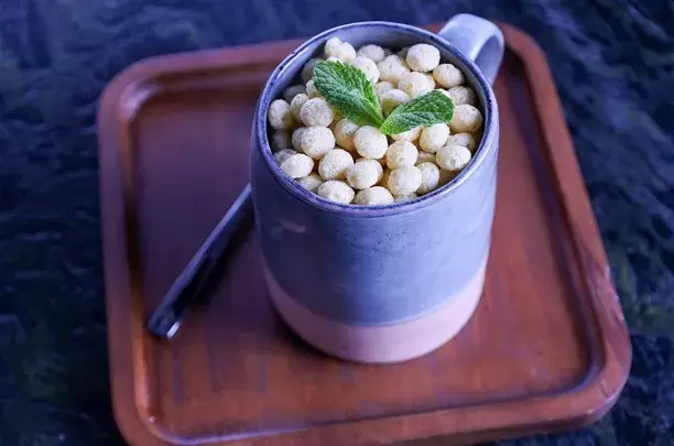 تصویر شیر کوکی